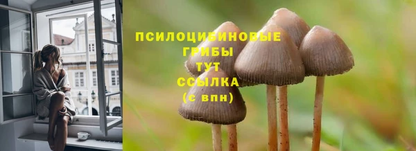 спайс Алзамай