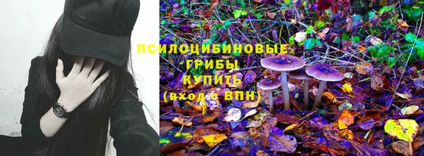 мяу мяу мука Алексеевка