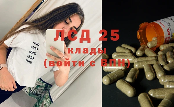 спайс Алзамай