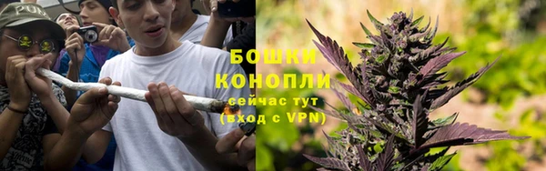 PSILOCYBIN Алексин