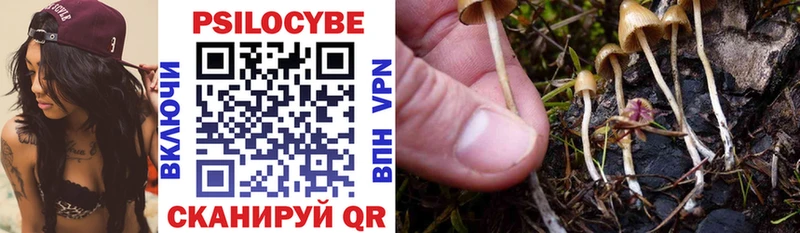 Галлюциногенные грибы Psilocybe  Орск 
