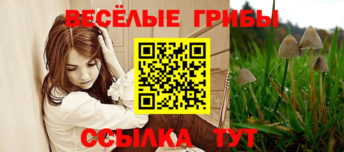 Орск  Галлюциногенные грибы прущие грибы  Вход с VPN 
