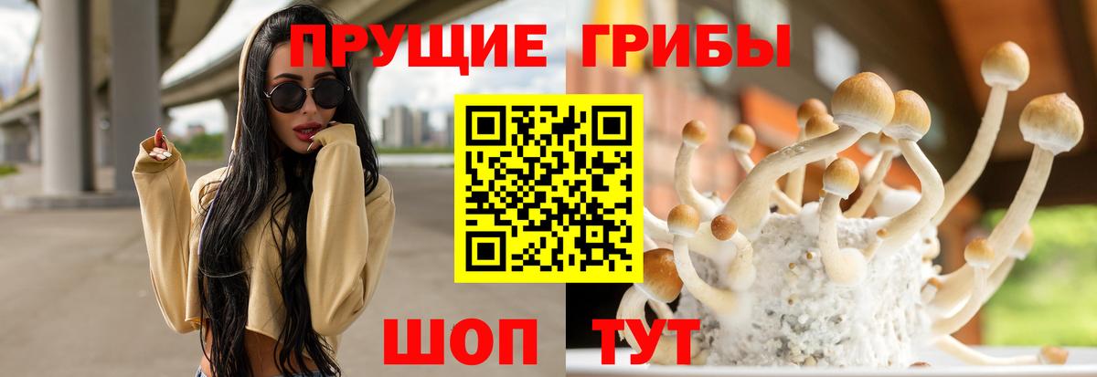 Галлюциногенные грибы Cubensis Орск