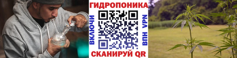 как найти закладки  Орск  shop формула  Каннабис семена 
